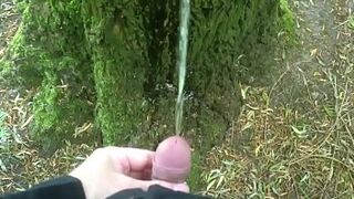 Chap pissing on a tree