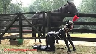 Ponygirl Barn 2