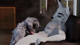 Wolf Gets a Sucking Dick-furry Yiff